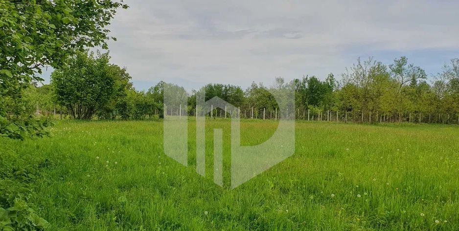 Teren Intravilan Valea Avrigului- 839 mp-Raul in fata terenului - Poză 6