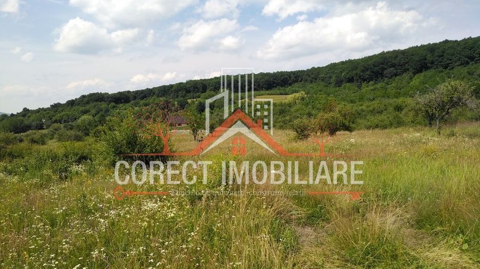 Va oferim spre vanzare teren zona valea budacului cartier raal - Poză 2