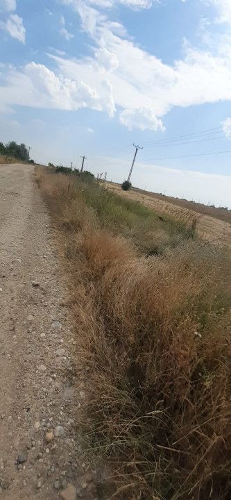 0% COMISION !!!  TEREN INTRAVILAN - BRADU - Poză 1