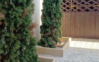 Lumina (cod04)-Vila P+1 mobilata utilata - Poză 2