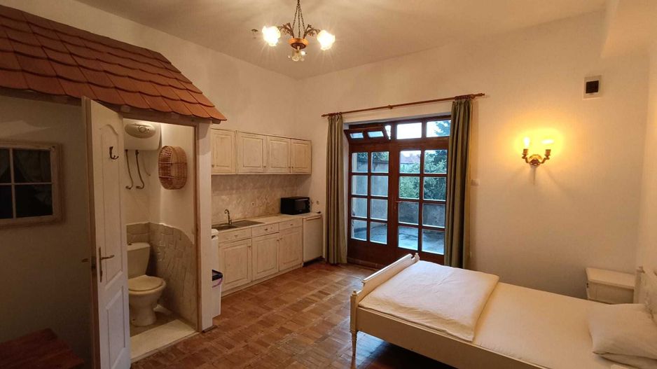 Garsoniera cu terasa proprie in vila interbelica | 20 mp + 16 mp terasa | Centru - Poză 3