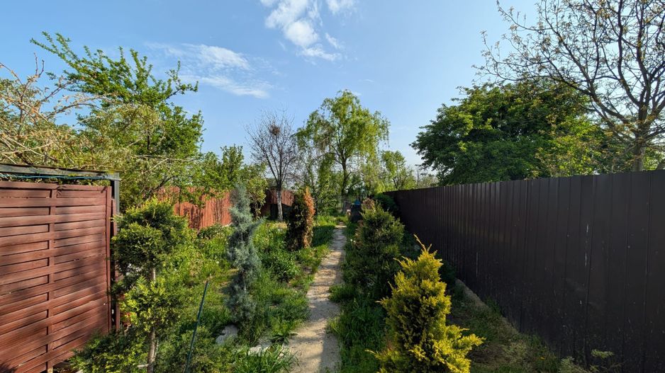 Vanzare Casa Dragomirești-Vale, Ilfov - Curte Mare, Oportunitate - Poză 22