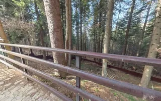 Vila superba mobilata si utilata, Cioplea - Predeal, langa padure - Poză 27