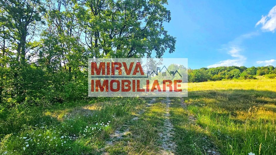 Teren intravilan construibil 3.500 mp Păcureți | UTR 6, P+2, POT 30% - Poză 4