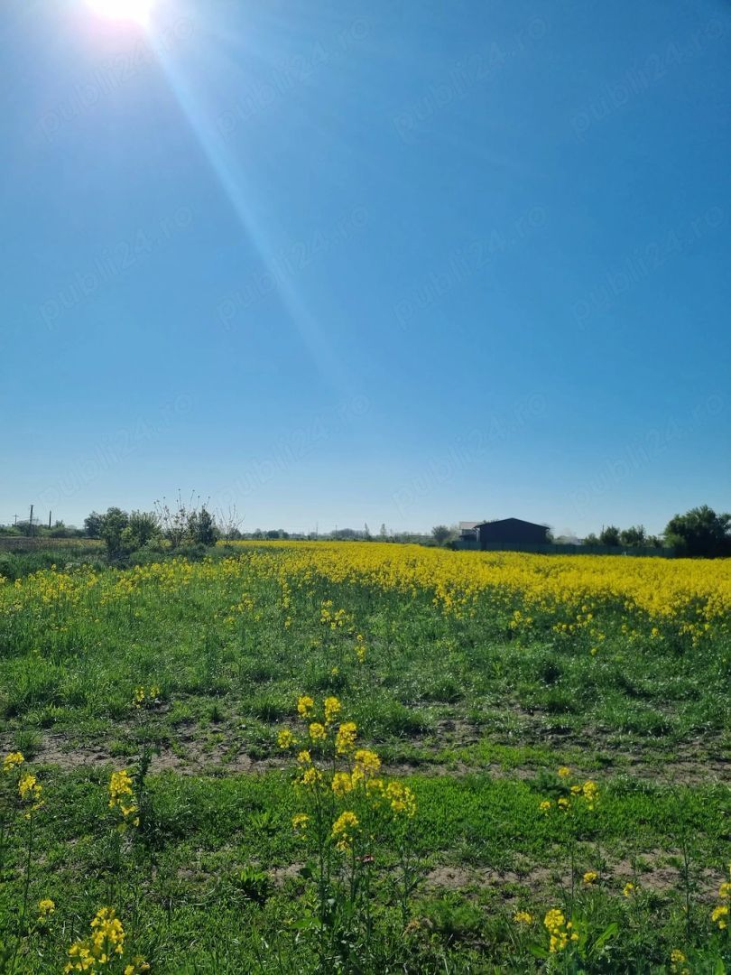 Investitie- Dezvoltare imobiliara - Poză 5