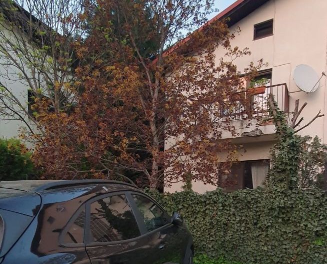 Vanzare vila 5 camere | Langa padure | Bucuresti | Baneasa - Poză 15