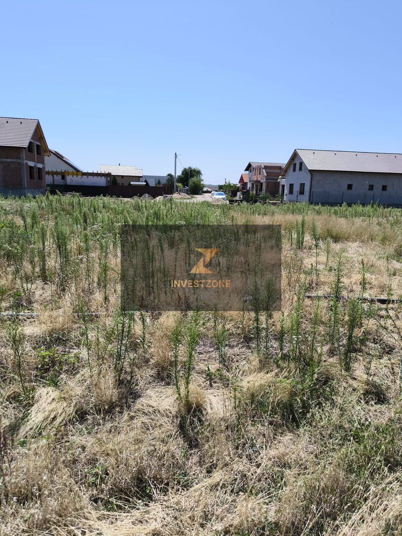 Teren intravilan Biharia 11058 mp - Poză 5