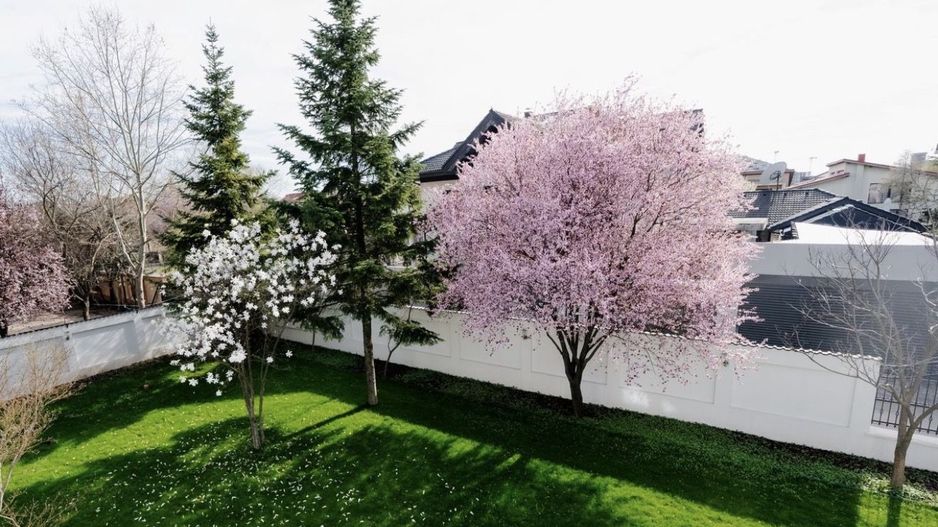 Vila  6 camere de inchiriat | Pipera-Aviatiei - Poză 5