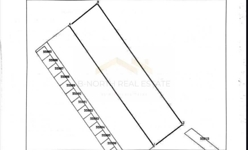 Teren Intravilan Cu iesire la A0- Vanzare - Poză 2