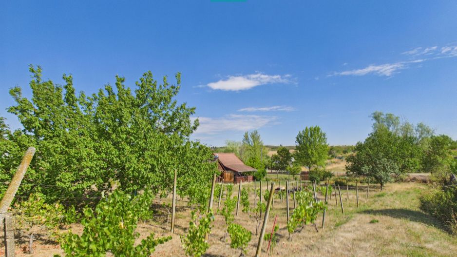 Casă din lemn în Uileacu de Munte – teren 2140 mp - Poză 21