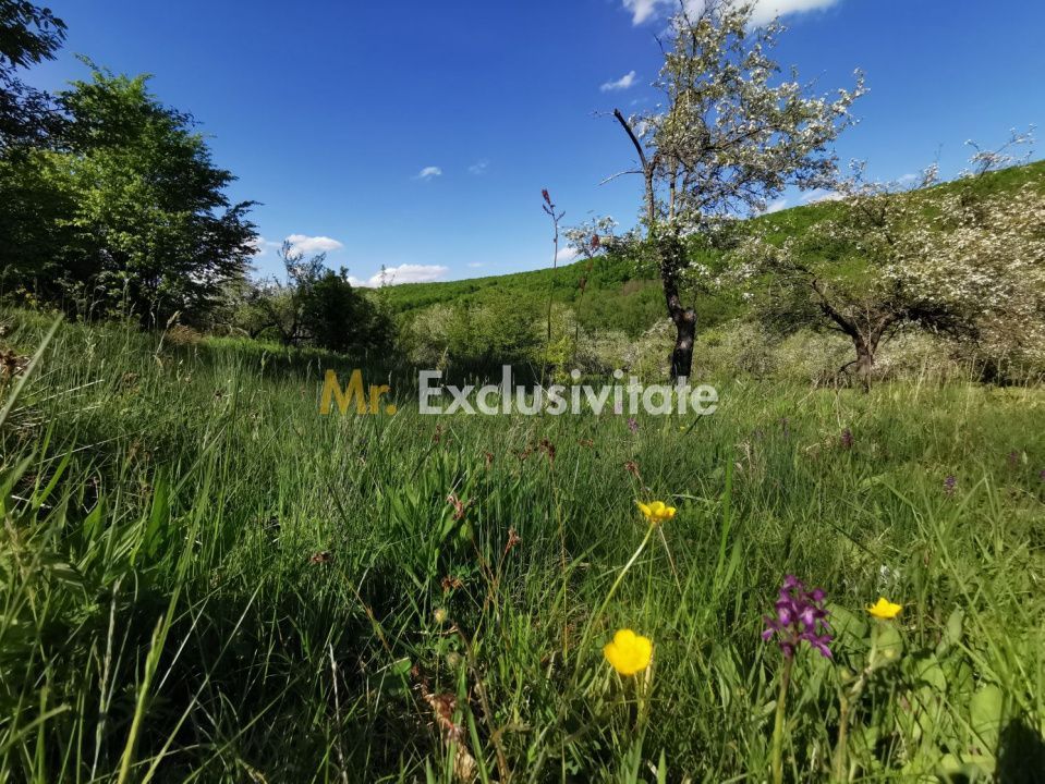 Teren 680mp Budeasa Mica, AG - Poză 6