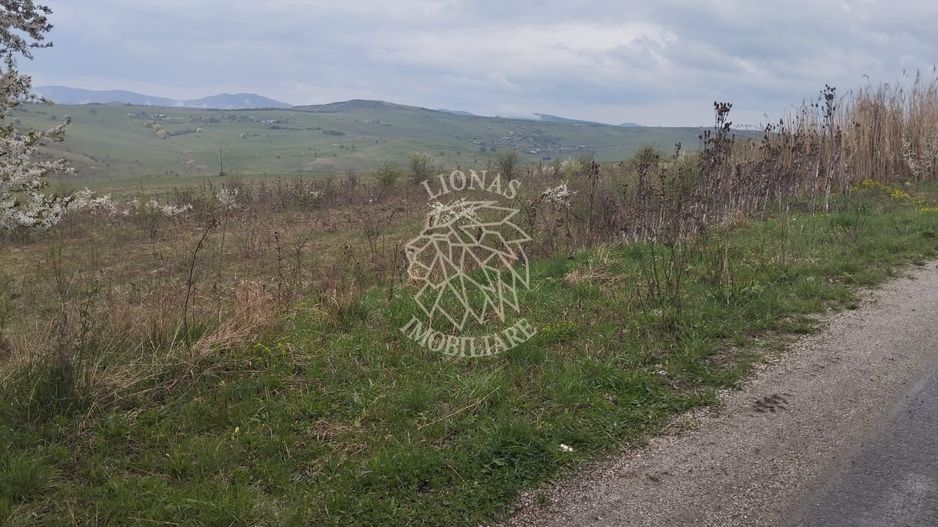 Teren 2100 mp-ideal casa de vacanta, investitie-Budacu de Jos - Poză 1