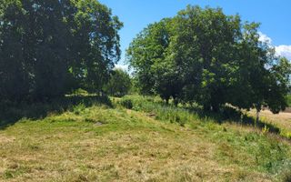 Teren intravilan de vânzare în satul Păun, comuna Bârnova – loturi de 1.000 mp și 870 mp - Poză 5