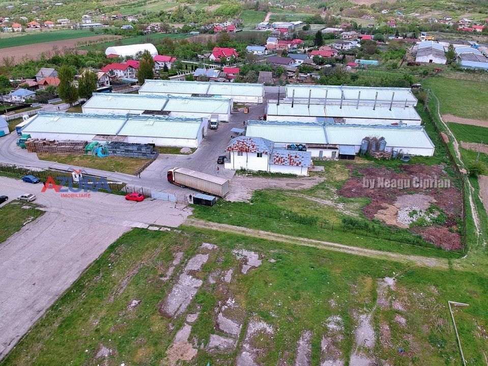 COMISION 0% - HALE Calinesti Arges - Poză 71