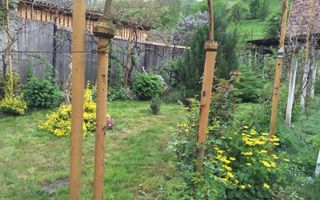 Casă individuală I Rustic I 100 mpu I Curte 2000 mp I Nemșa - Poză 19