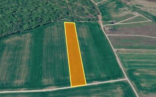 Teren 10.000 mp în Ciolpani | Deschidere la șosea | Pădurea Snagov - Poză 1