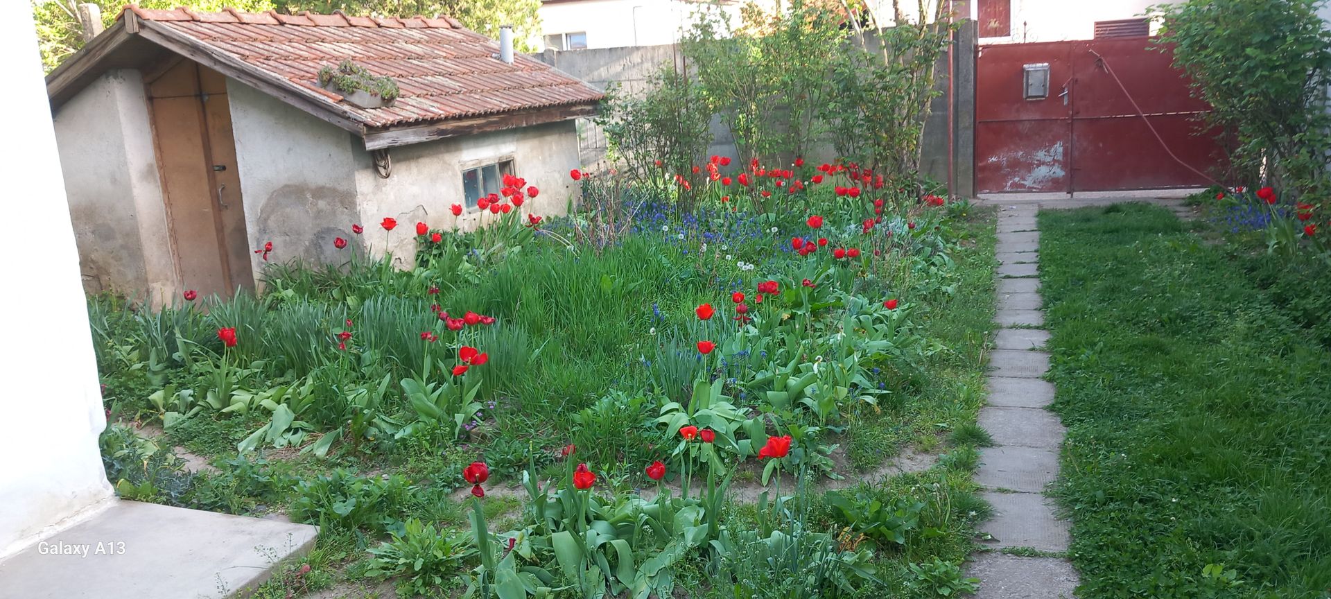 Ag BRASADAS vinde casa cu 2 cam teren 4.86 ari în zona SEMICENTRALA. - Poză 2