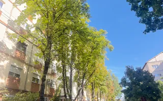 3 camere, PARTER, centrala proprie; Soarelui - SUD Plaza. - Poză 17