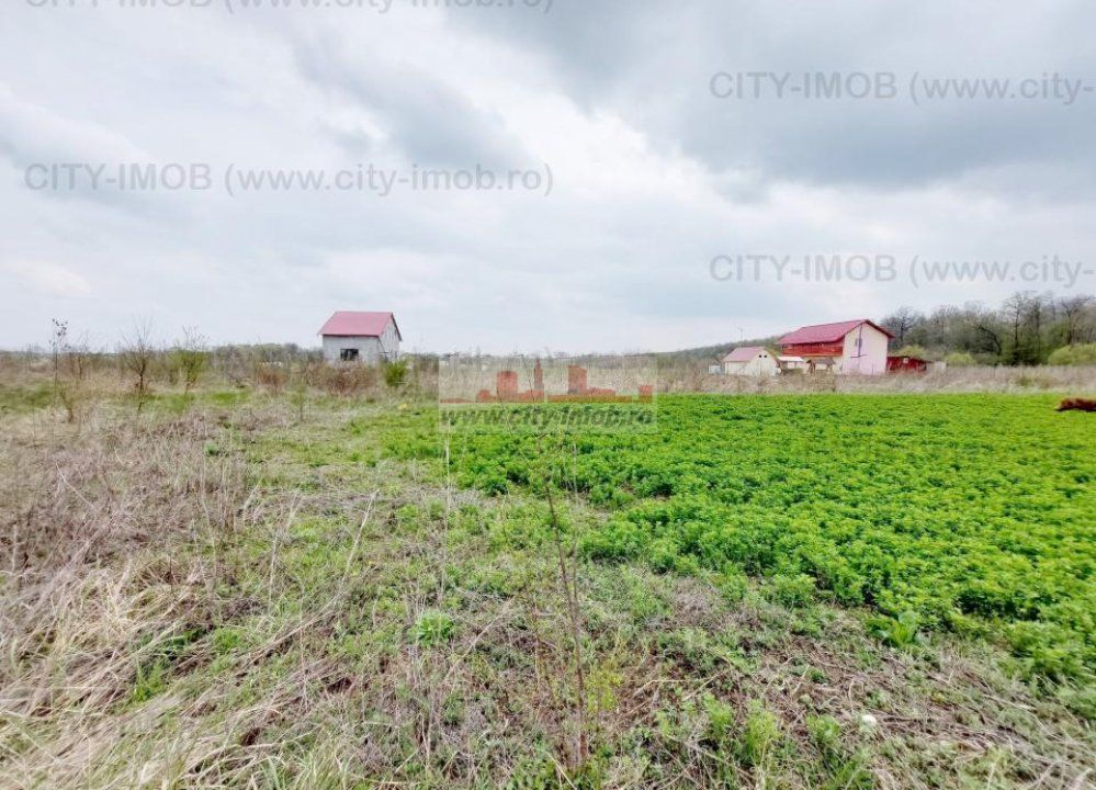 Teren de vanzare Cocani, Crevedia, langa  padure Dambovita - Poză 7