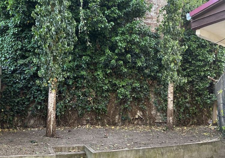 ageuropa.ro vinde apartament cu 2 camere în zona ultracentrala. - Poză 2