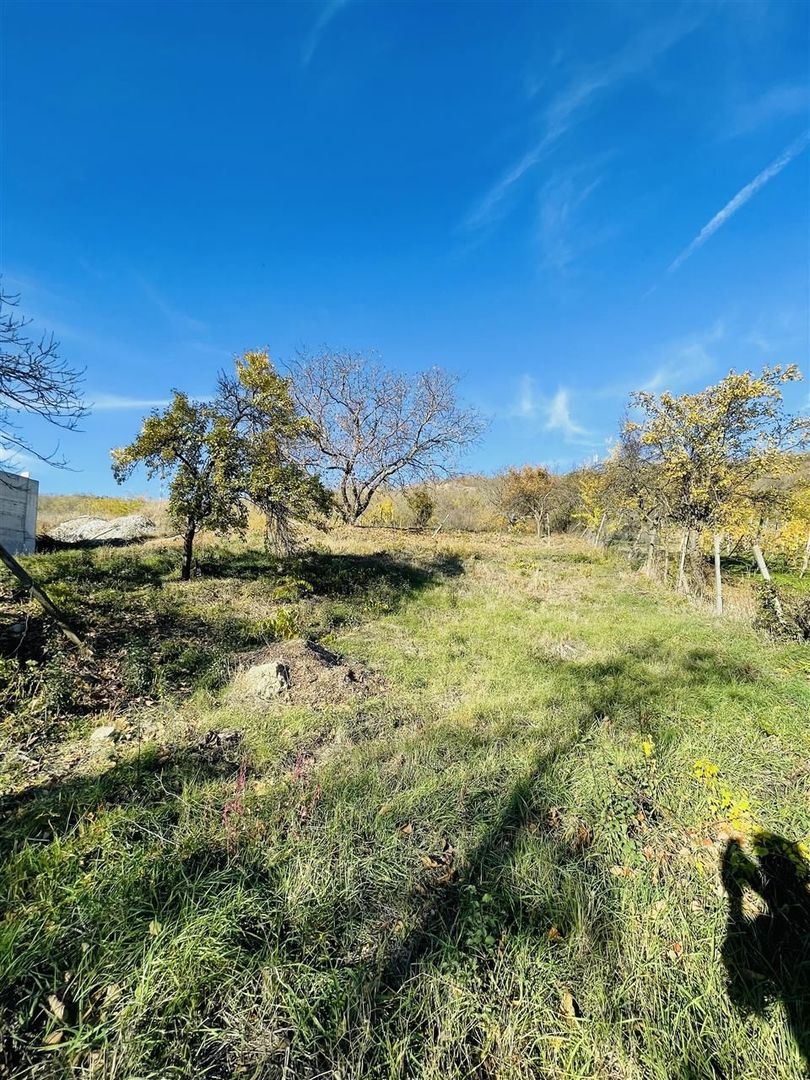 Teren de vanzare intravilan Oradea - Poză 4