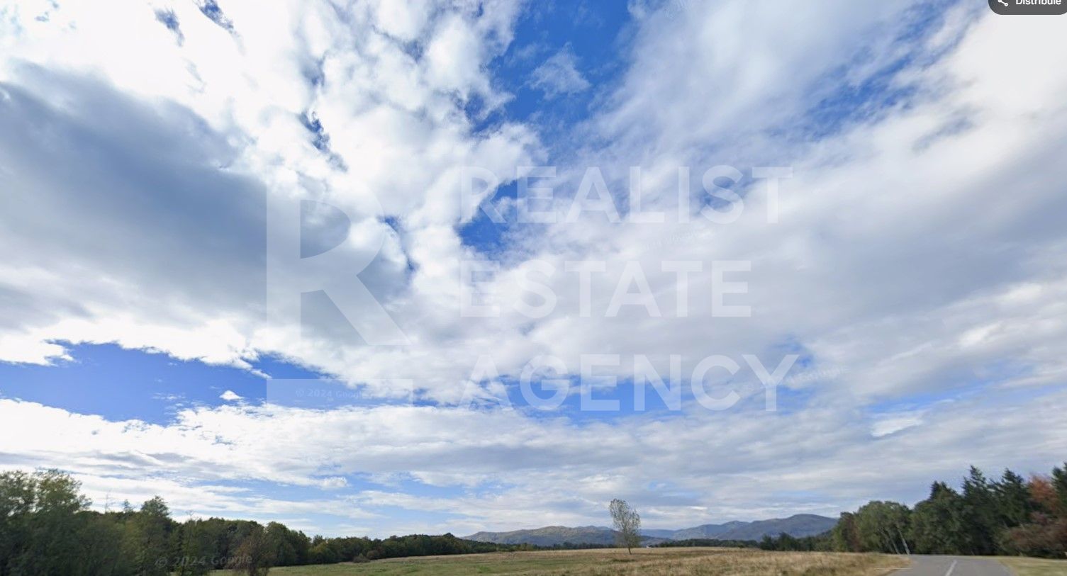 Teren intravilan 4,2 ha de vânzare| ideal investiție| POT 40%| Teișani - Poză 6