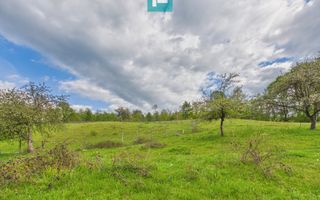 Casă cu teren de 17.681 mp, în loc. Hălmăgel, Arad - Poză 12