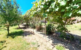 Casă individuală, grădină de vis, 1040mp, în Grigorescu!! - Poză 10