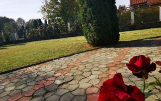 Vila cu 1.500 mp teren, gradina amenajata, linistita zonare,  Halchiu, Brasov - Poză 41