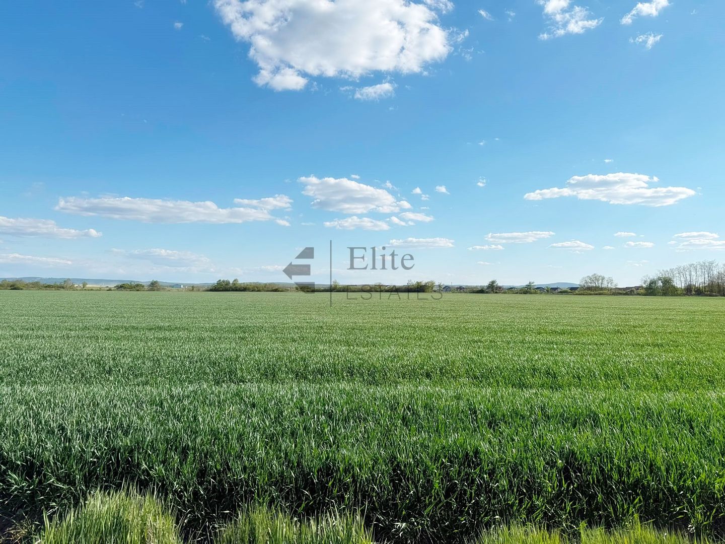 Teren extravilan 6450 mp in Osorhei acces din DN1 - Poză 2