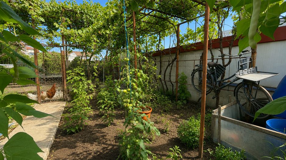 Casa P+1 | 317 mp teren | Ovidiu - Poză 34