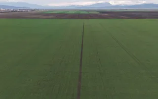 Teren de vânzare – 20.000mp – Ghimbav, lângă Parcul Industrial - Poză 12