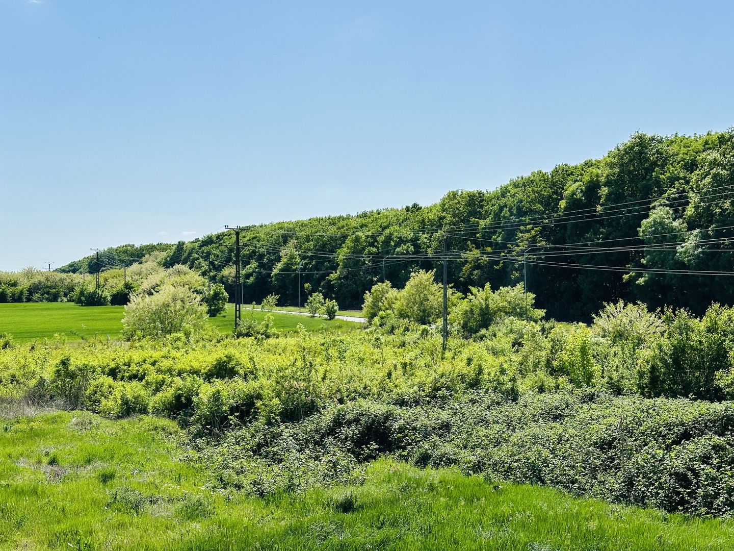 Design Ultramodern | Pompa de caldura | 131 mp, 4 bai | Langa Padure - Poză 27