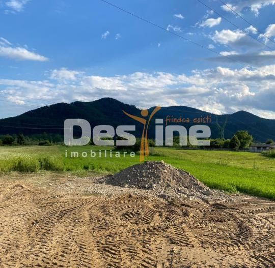 Teren de vanzare Alexandru cel Bun 20.000 Euro 735mp - Poză 7