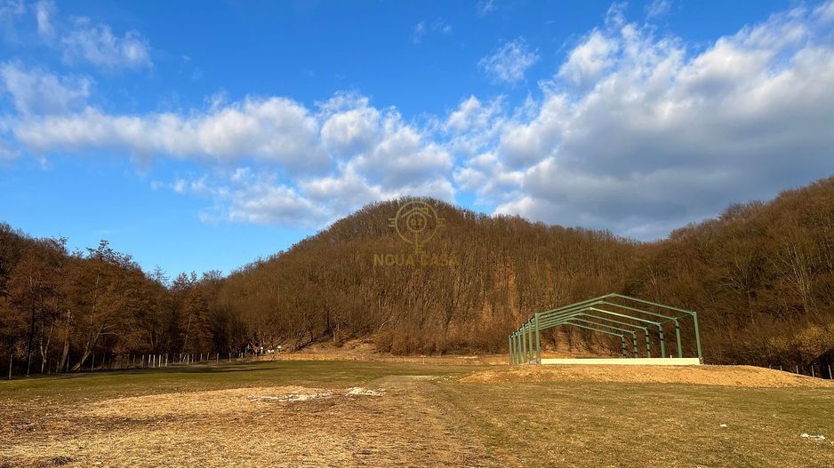 De vanzare Proprietate Unica In Maramures la 20km de Baia Mare - Poză 3
