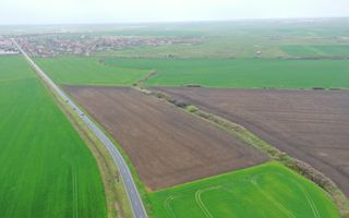 Teren industrial Dudestii Noi - Poză 7