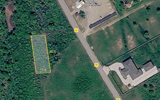 Teren intravilan 703 mp  Paleu - Poză 2