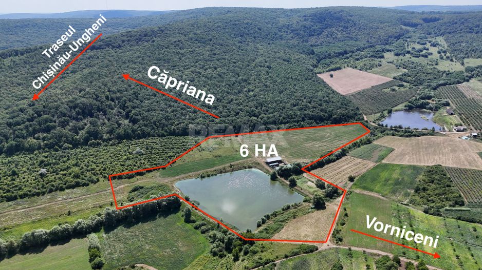 Teren de 6.2 Hectare cu Iaz propriu, lângă pădure – Vorniceni, Strășeni! - Poză 1