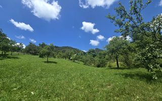 Teren | 2946MP | Priveliște Panoramică | Râu Sadului - Poză 9