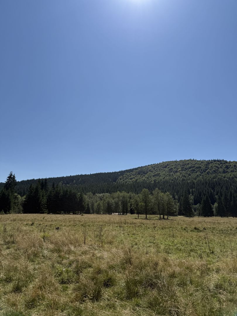 SUPER OCAZIE  - Teren intravilan, COMANDAU-PUZ case de vacanta. - Poză 7