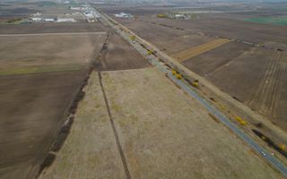 Teren 22.500 mp–Pecica, jud. Arad,Posibilitate PUZ - Poză 11