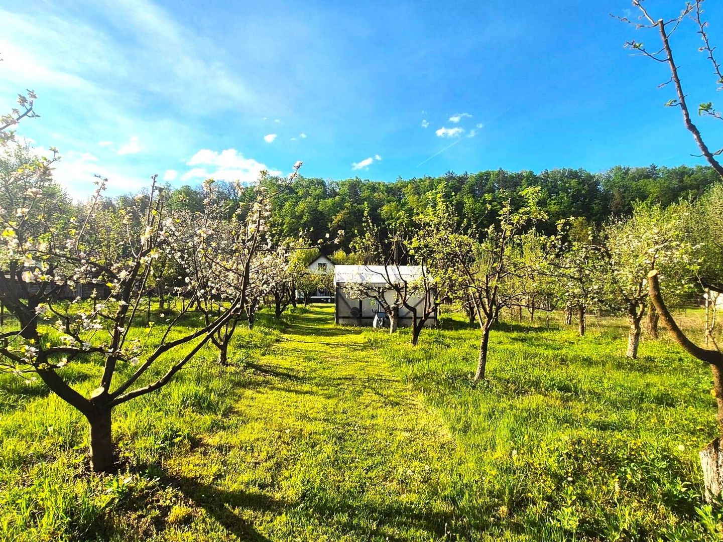 CASĂ NOUĂ ÎN STOLNA, LA 20 KM DE CLUJ-NAPOCA | 160 MP UTILI | 1.513 MP TEREN - Poză 9