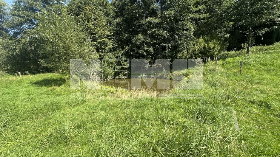 Teren 15 Ari | Cu Iaz & Terasat | Drumul Principal | 40.000 € - Poză 5