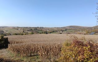 Teren extravilan 5,671mp Cluj-Napoca / Strada Lombului