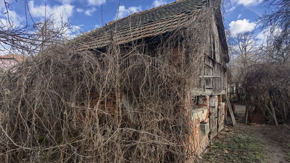 Casa cu teren generos- Recas - Poză 19