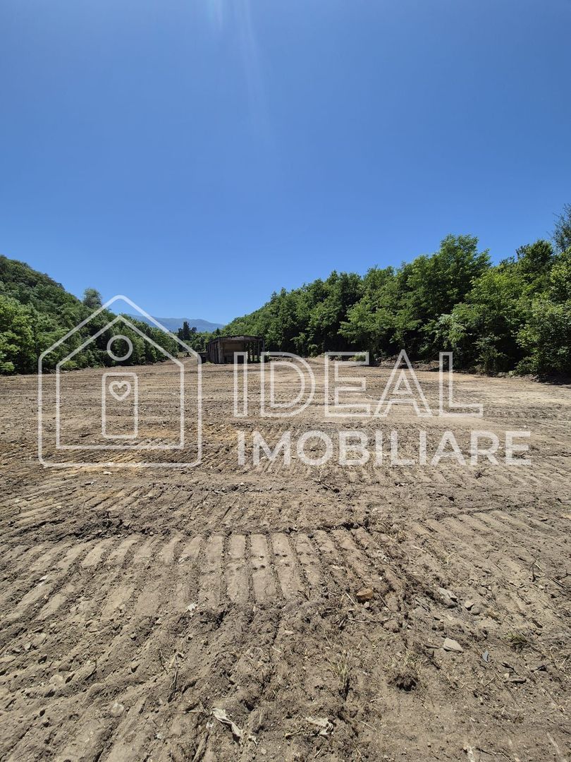 Teren intravilan 18.259 mp + construcție industrială, Mârșa - Poză 1