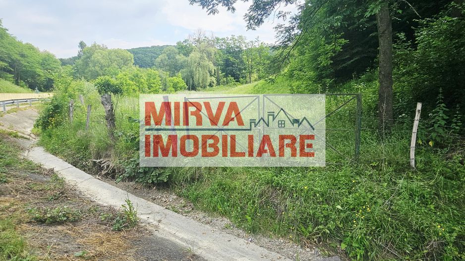 Teren intravilan lângă pădure – 1659 mp,  C.U. P+2E, Vărbilău - Poză 4