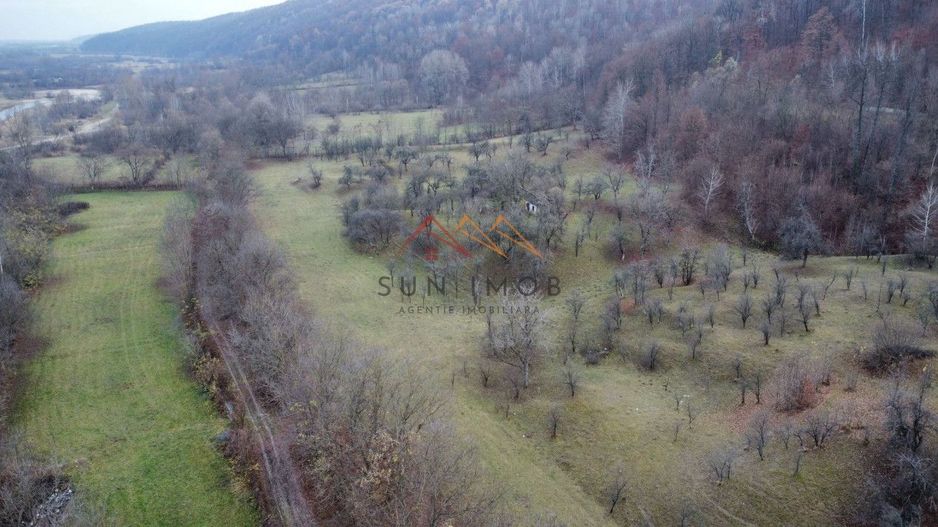 Teren 36000 m2, intravilan+partial extravilan, cadastru, Draganeasa PH - Poză 6