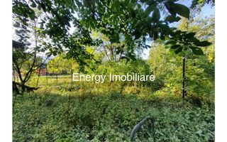 Teren de 500 mp, Platoul Cornești - Poză 7