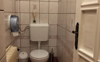 Casa de vânzare 380mp + locuinta separata pt oaspeti | Zona Cloșca - Poză 21